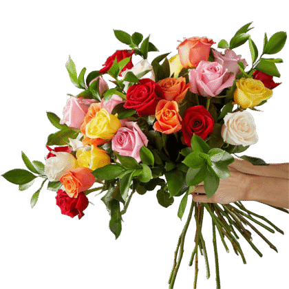 Congratulation
