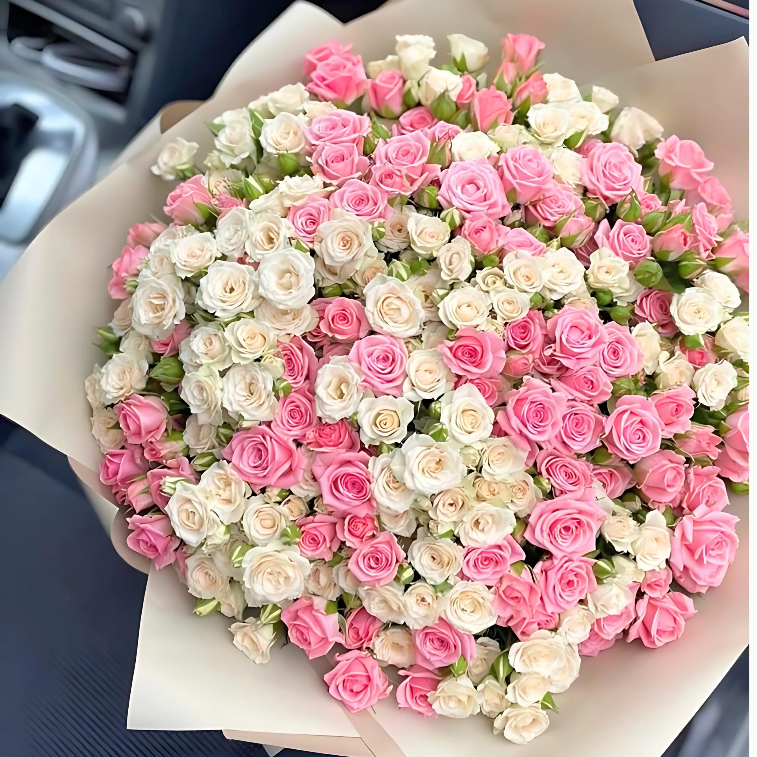 100 Pink & White Roses in Happy Hues