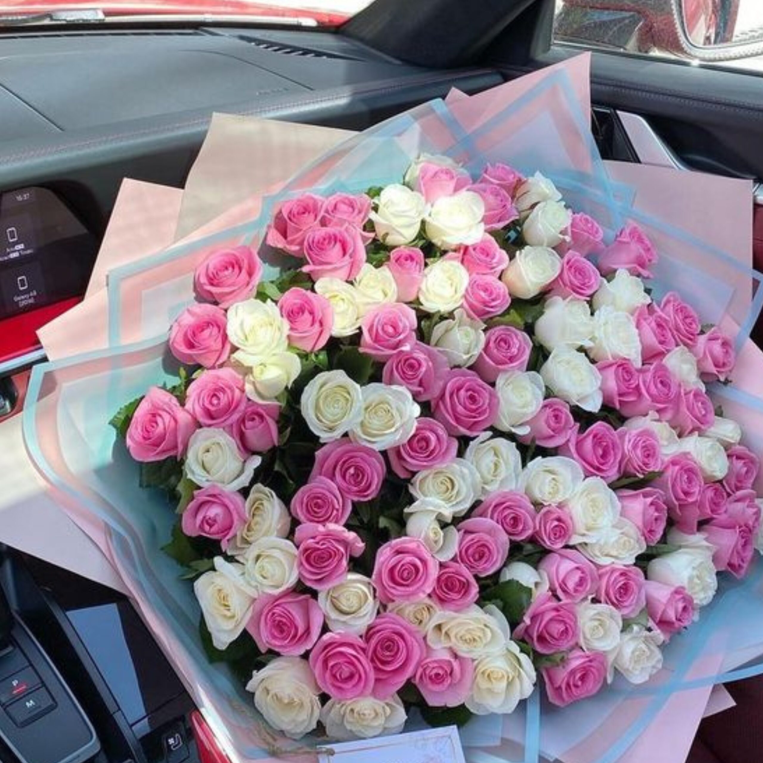 100 White & Pink Roses in Cotton Candy