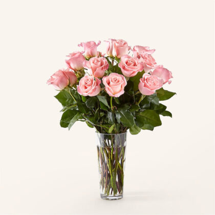 12 Long Stem Pink Roses with Vase