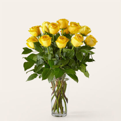 12 Long Stem Yellow Roses | Premium Fresh Flower with Vase