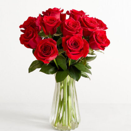 12 Red Roses Vase | Premium Fresh Flower with Vase