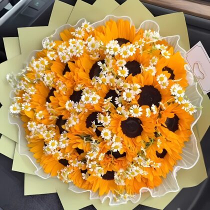 20 SunFlowers in Sunshine