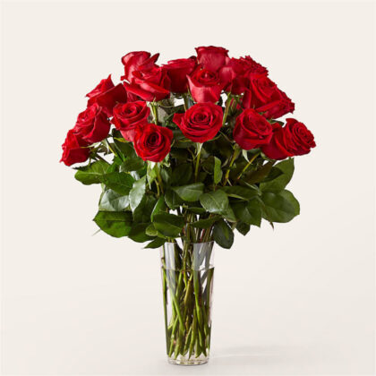24 Long Stem Red Roses | Premium Fresh Flower with Vase