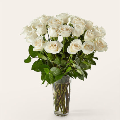 24 Long Stem White Roses | Premium Fresh Flower with Vase