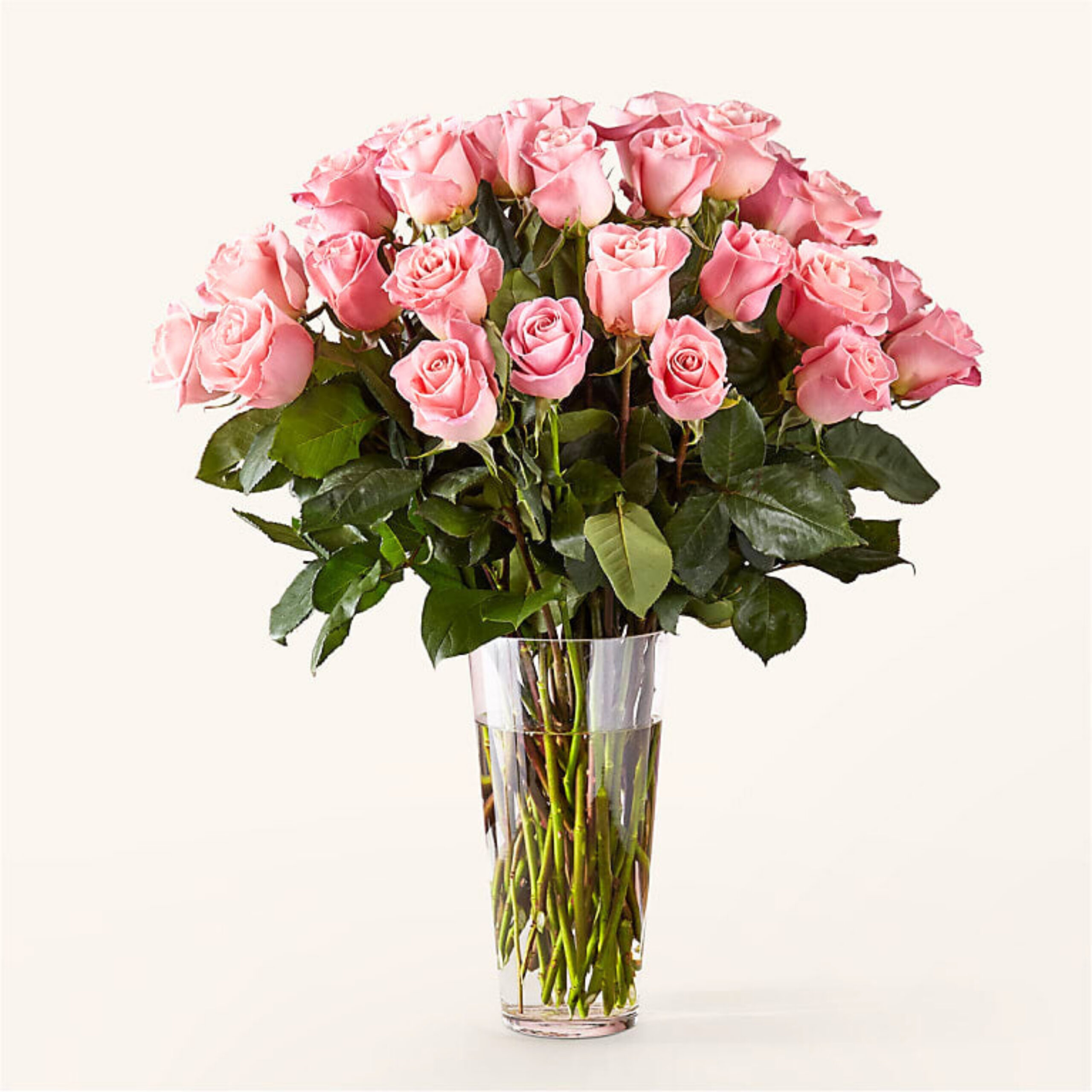 36 Long Stem Pink Roses | Premium Fresh Flower with Vase