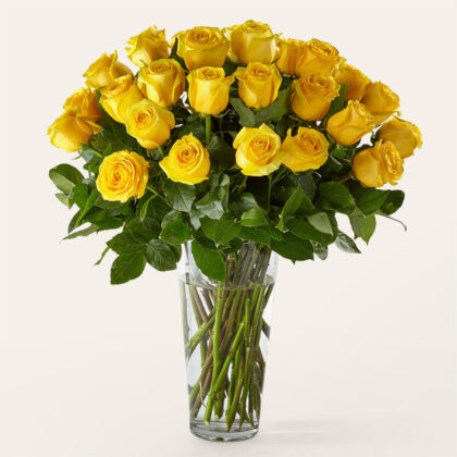 36 Long Stem Yellow Roses | Premium Fresh Flower with Vase