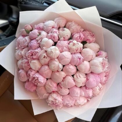 50 Pink Peonies in  Rosy Elegance