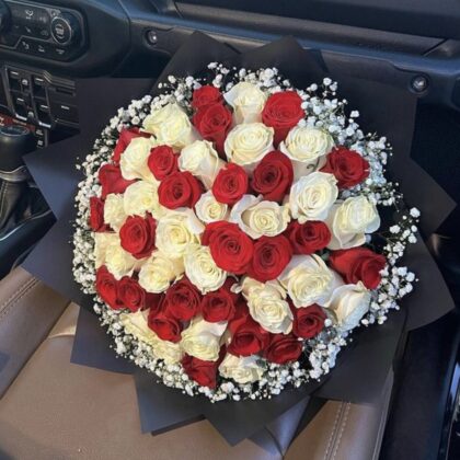 50 Red & White Roses in  Pastel Charm