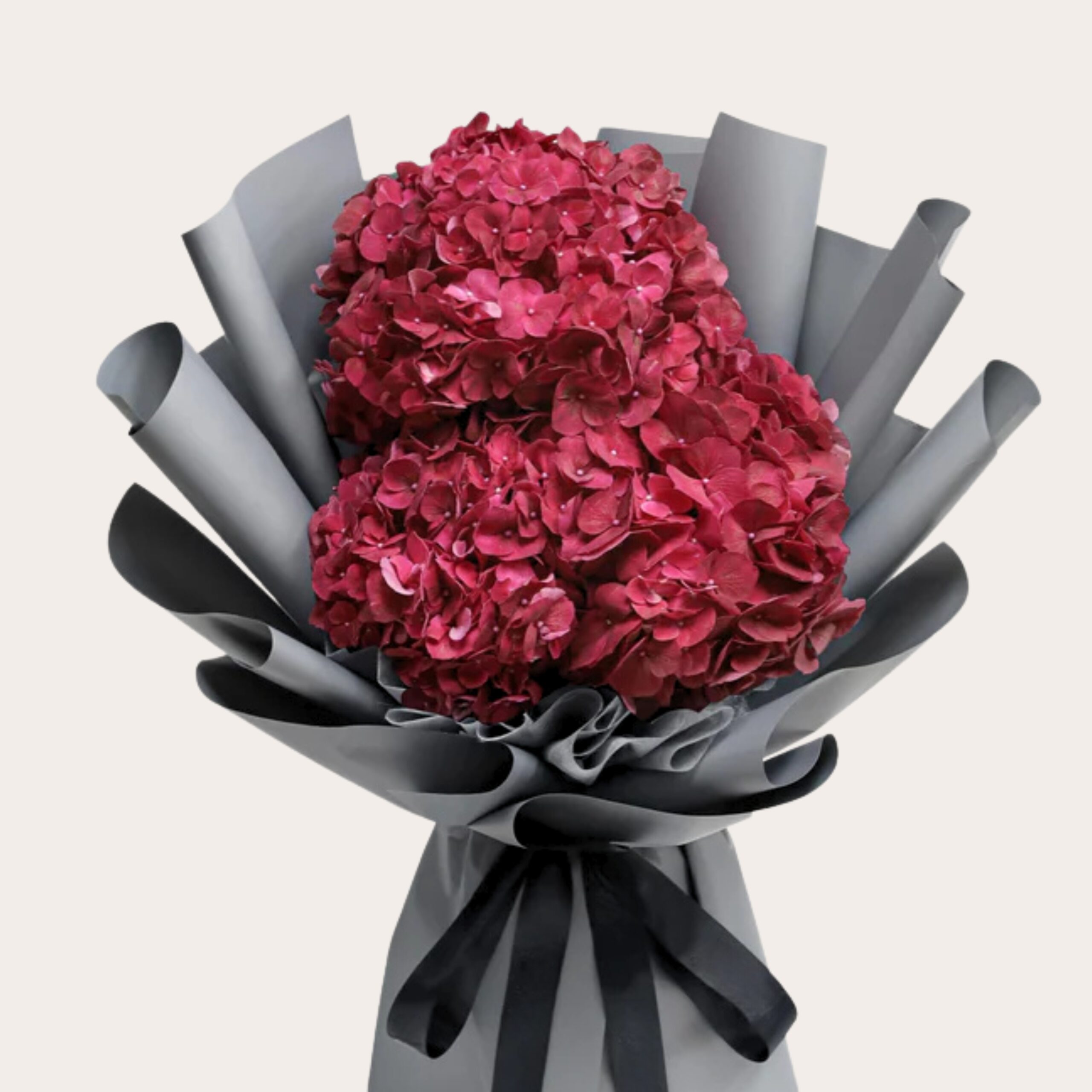 Cinderella Red Hydrangea Flowers UAE
