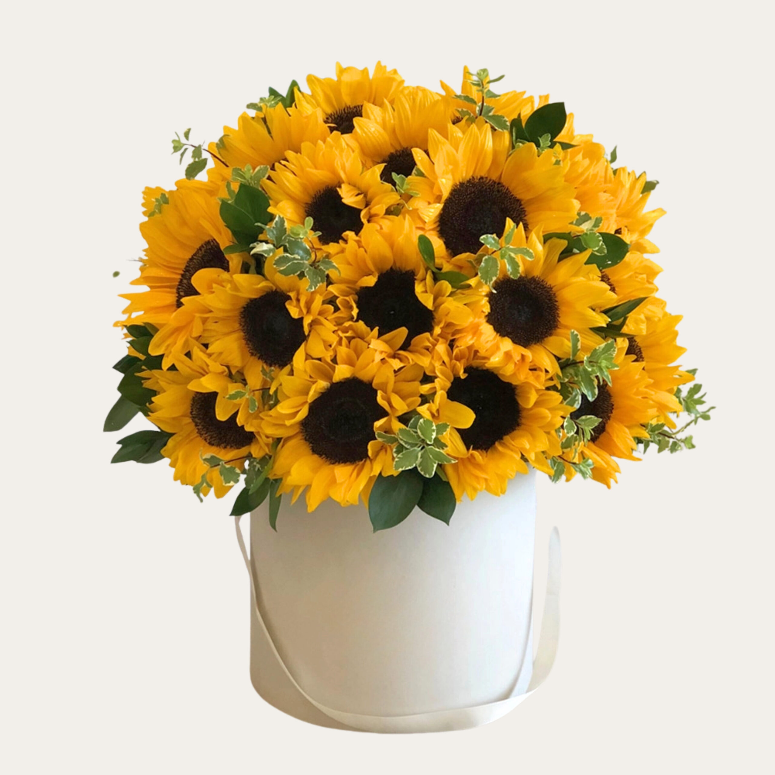 Classic 25 Fresh Sunflowers | White Box - Luxury Floral Arrangement
