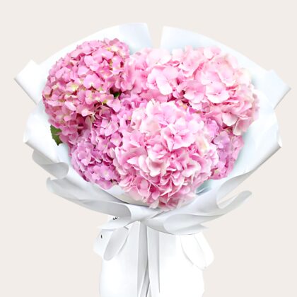 Luxury Romantic Pink Hydrangeas Dubai