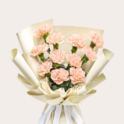 Pink Carnation Flowers UAE – Fresh Gift Bouquet Dubai