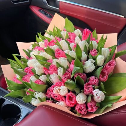 Pink & White Tulips in Lily Innocence