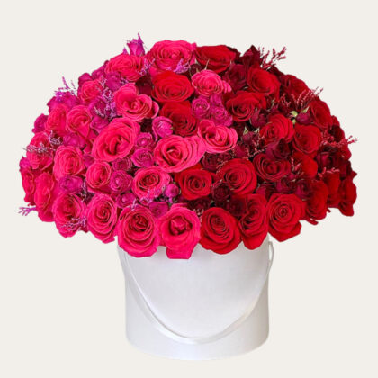 Premium 100 Mix Multi-Roses with White Box - SIGNATURE | Luxury Dome-Shaped Flowers