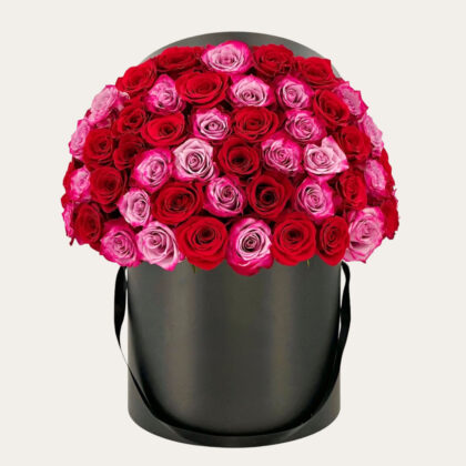 Premium 100 Pink & Lavender Roses with Black Box | Luxury Dome-Shaped Flowers