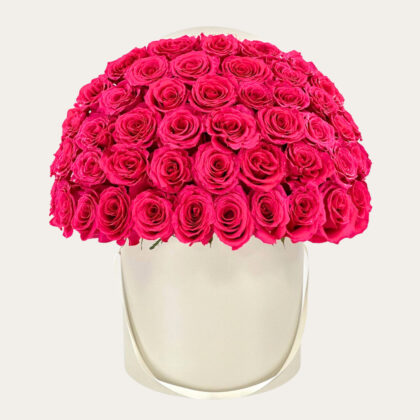 Premium 100 Pink Roses with White Box | Luxury Dome-Shaped Flowers