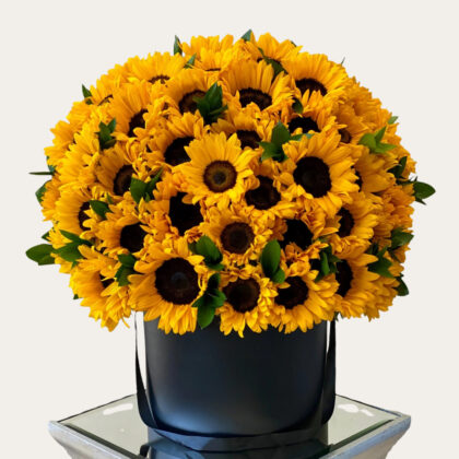 Premium 50 Fresh Sunflowers | Luxury Dome-Shaped Floral Arrangement