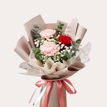Red and Pink Carnation Bouquet Dubai – Romantic Anniversary Flowers