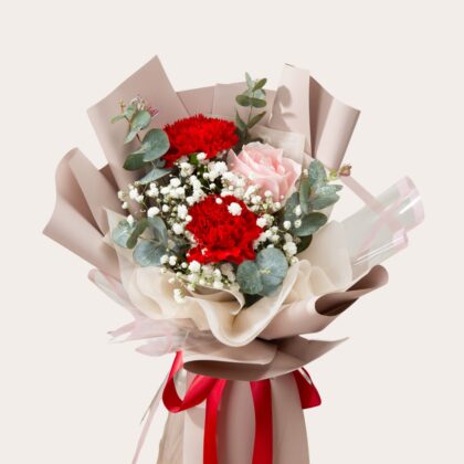 Red and Pink Carnation Bouquet Dubai – Romantic Anniversary Flowers