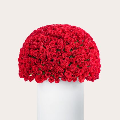 Signature Box | 500 Red Roses | Luxury Floral Arrangement