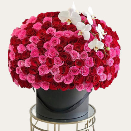 Signature Box | Red & Pink Roses | Luxury Floral Arrangement