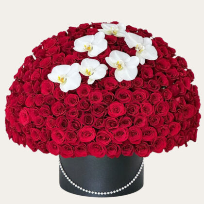 Signature Dome Box | Red Roses & Orchids | Luxury Floral Arrangement